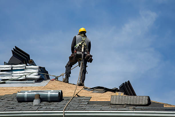 Professional Roofing technician working in Dawson, IL